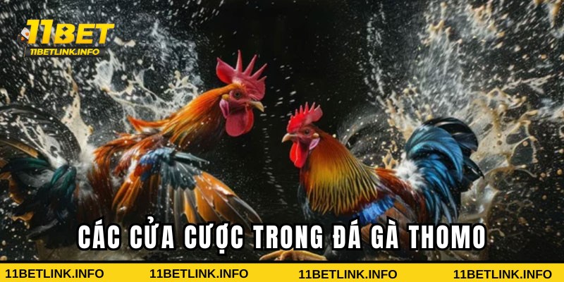 Các loại cược hấp dẫn trong đá gà 11bet Các loại cược hấp dẫn trong đá gà 11bet