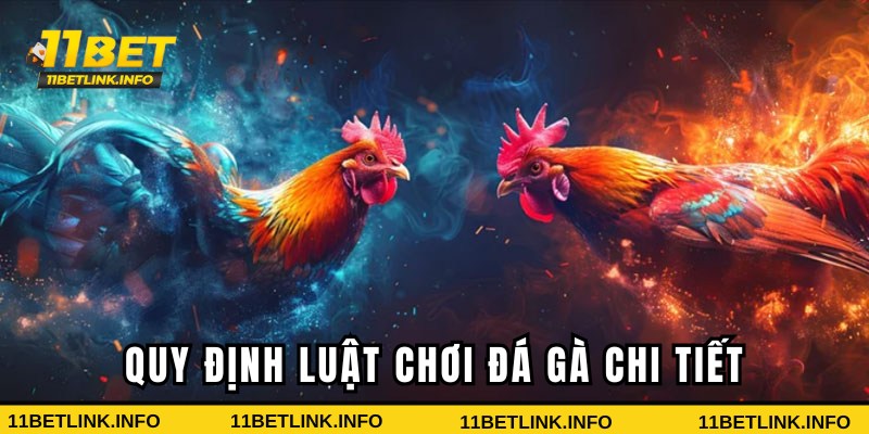 Quy định luật chơi đá gà chi tiết Quy định luật chơi đá gà chi tiết