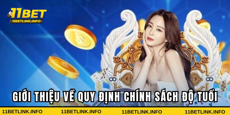 Tổng quan về chính sách độ tuổi tại 11bet Tổng quan về chính sách độ tuổi tại 11bet
